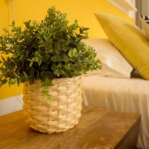 3* Bed & Breakfast Intendente 1865
